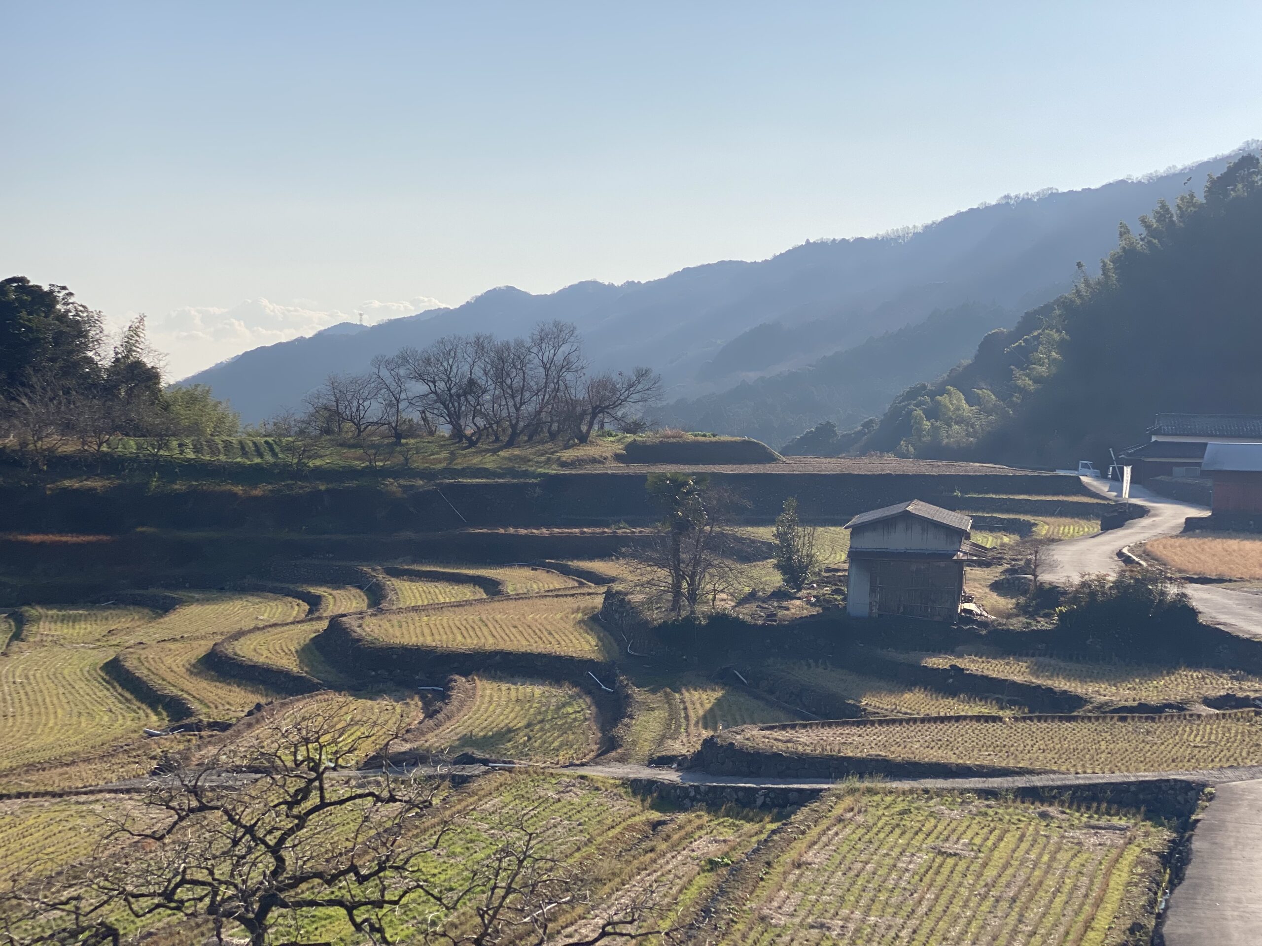 蜜乗院のお餅で鏡開きを 寄ろう会(よろうえ) | 国東つながる暮らし 大分県国東市(くにさきし）